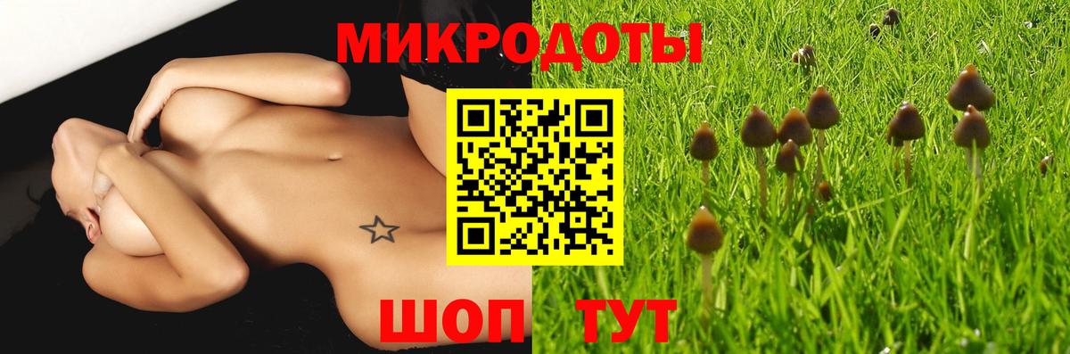 Галлюциногенные грибы GOLDEN TEACHER Чайковский